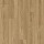 Palmetto Road Laminate Flooring: Trailblazer Honey Creek